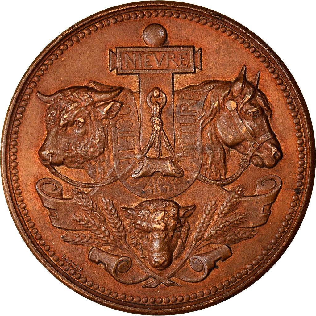 França, Medal, Société Départementale d'Agriculture de la Nièvre, 1881
