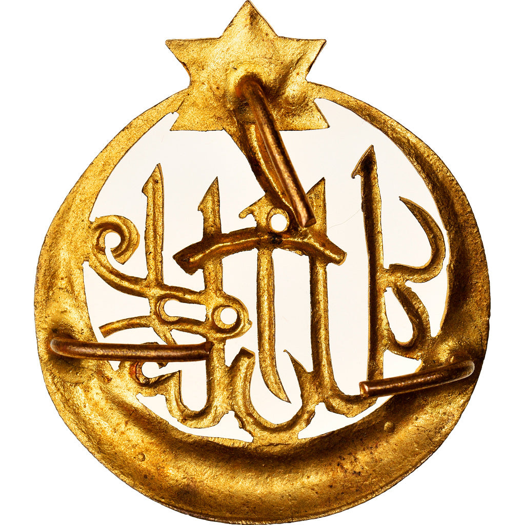 France, 7ème Régiment des Tirailleurs Algériens, Politics, Society, War