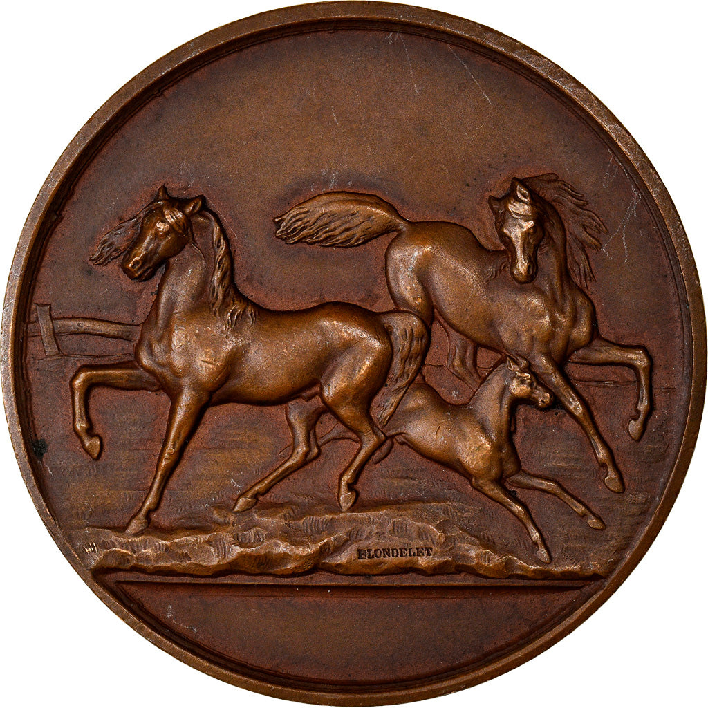 France, Médaille, Agriculture, Concours du Blanc, Indre, 1910, Blondelet, SUP