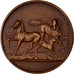 France, Médaille, Agriculture, Concours du Blanc, Indre, 1910, Blondelet, SUP
