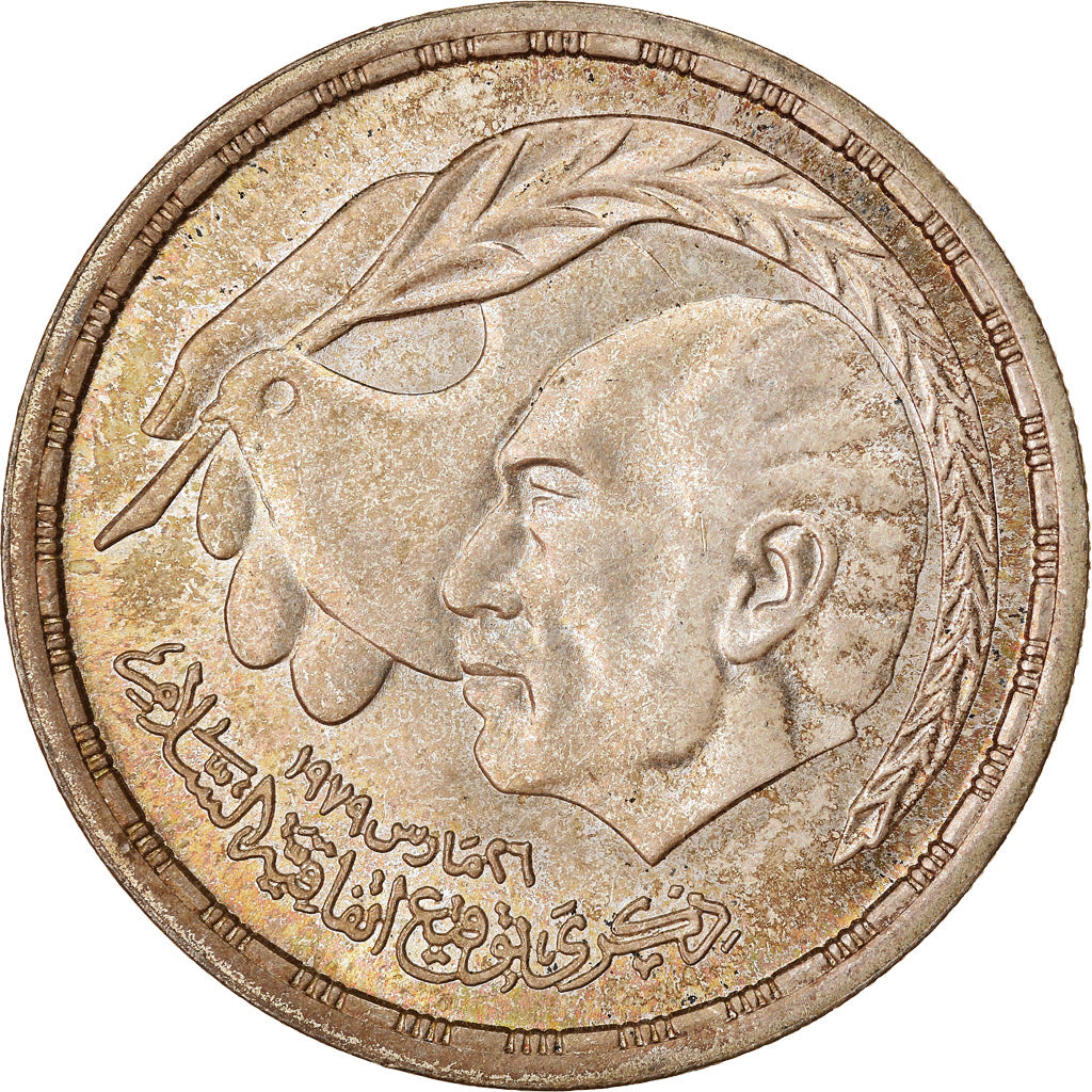 Münze, Ägypten, Pound, 1980, SS, Silber, KM:508