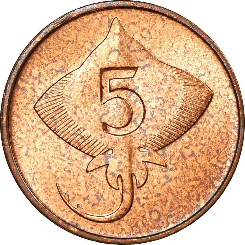Moneta, Islanda, 5 Aurar, 1981, SPL, Bronzo, KM:24