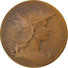 Francia, medalla, Ministère de la Guerre, Concours de Tir, Dubois.H, SC, Bronce