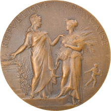 France, Medal, Agriculture, Concours Général de Paris, Commissaire, 1905