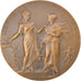 France, Medal, Agriculture, Concours Général de Paris, Commissaire, 1905