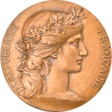 França, Medal, Département de la Seine, Jean Benedetti, Préfet, Políticas