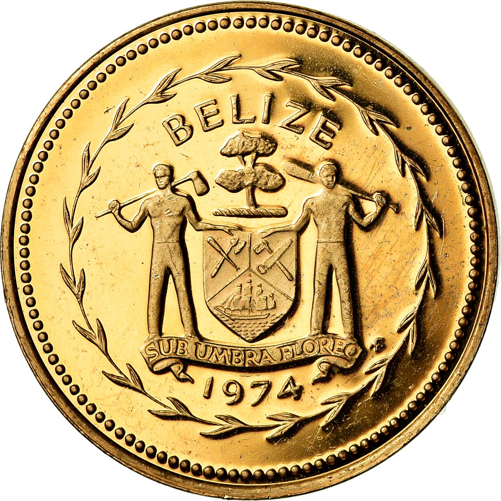 Moneta, Belize, Cent, 1974, Franklin Mint, BE, FDC, Bronzo, KM:38