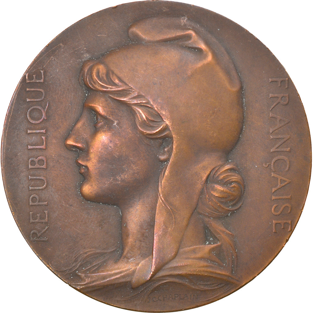 Francja, Medal, Conseil Municipal de Paris, Polityka, społeczeństwo, wojna