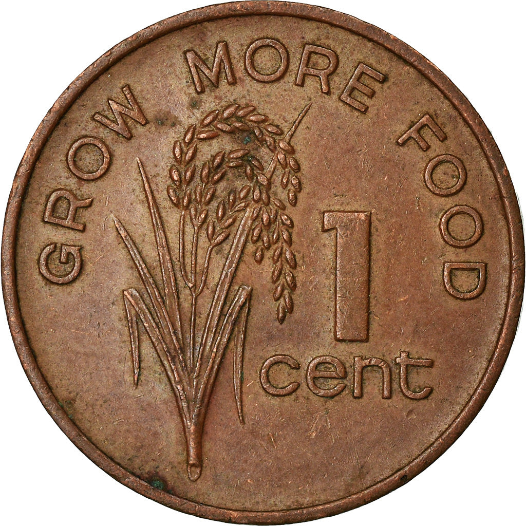 Coin, Fiji, Elizabeth II, Cent, 1982, AU(50-53), Bronze, KM:39