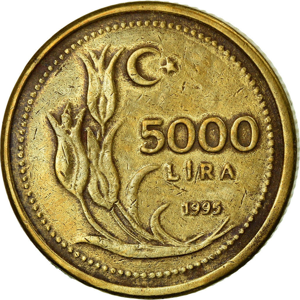 Moneta, Turcja, 5000 Lira, 1995, AU(55-58), Mosiądz, KM:1029.1
