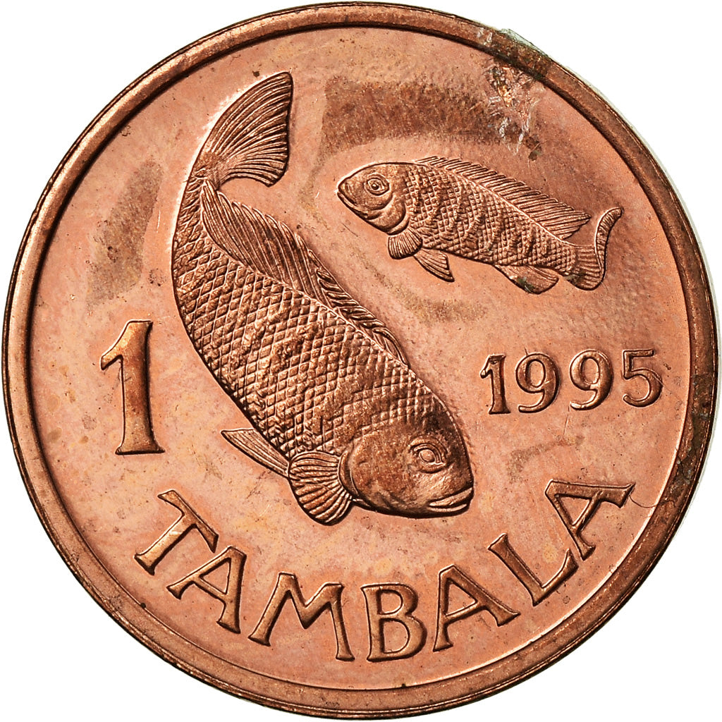 Moneta, Malawi, Tambala, 1995, EF(40-45), Bronze, KM:33