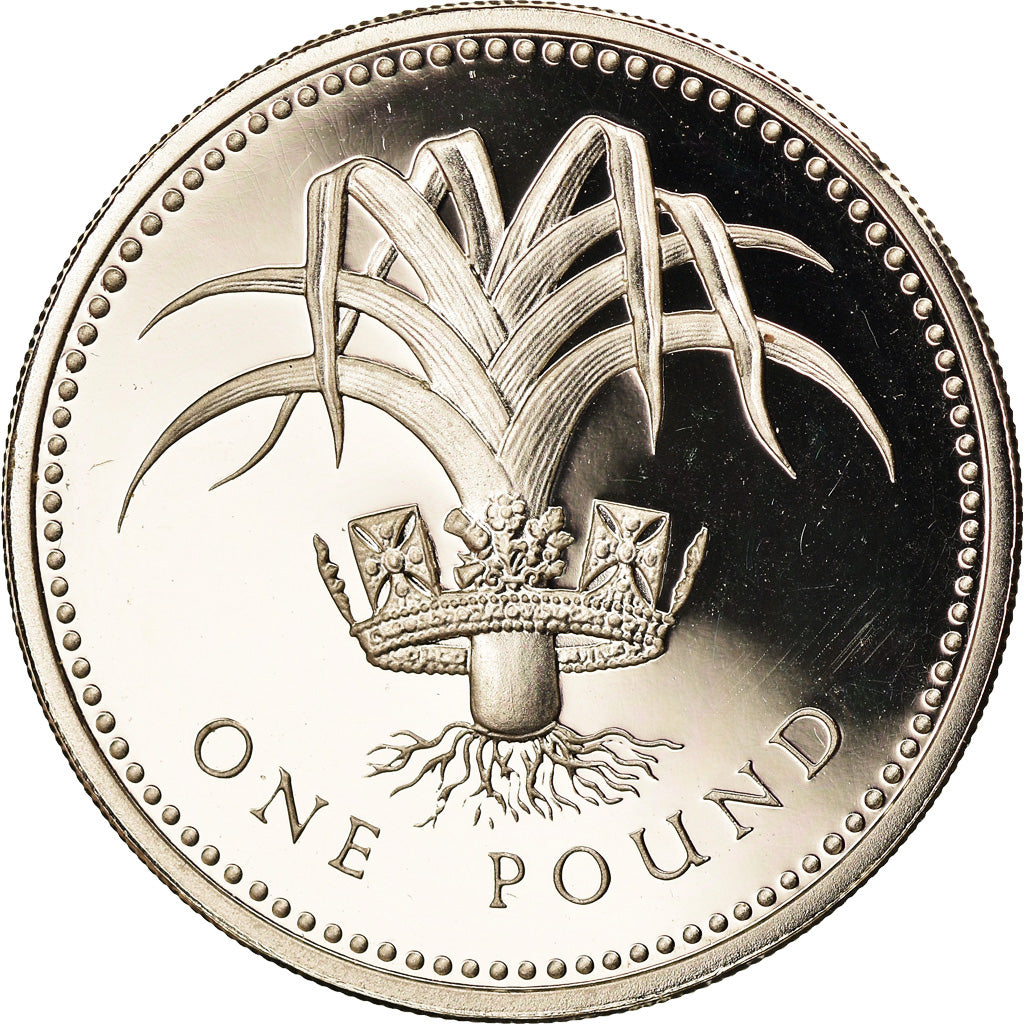 Coin, Great Britain, Elizabeth II, Pound, 1985, MS(65-70), Silver, KM:941a