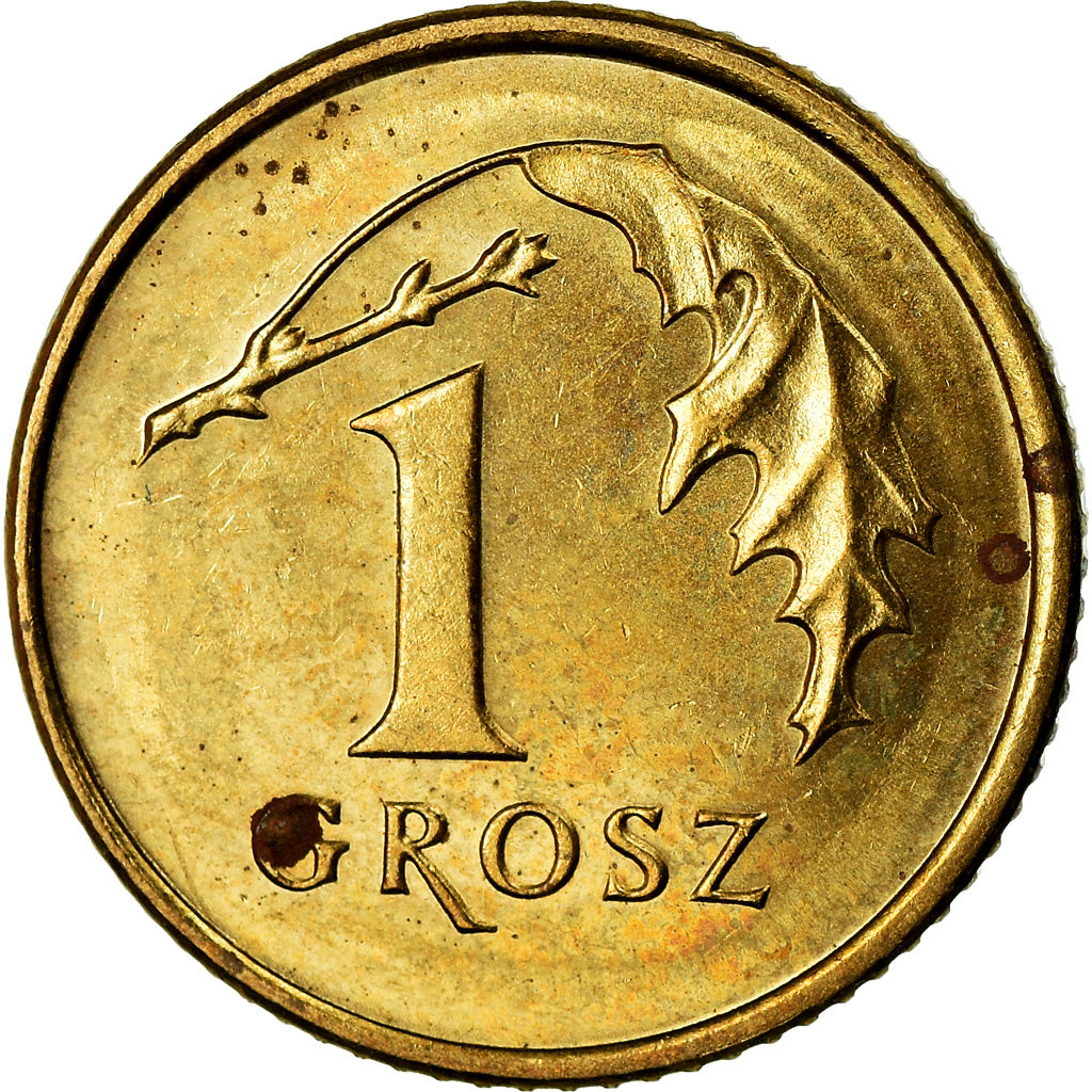 Münze, Polen, Grosz, 1999, Warsaw, SS+, Messing, KM:276