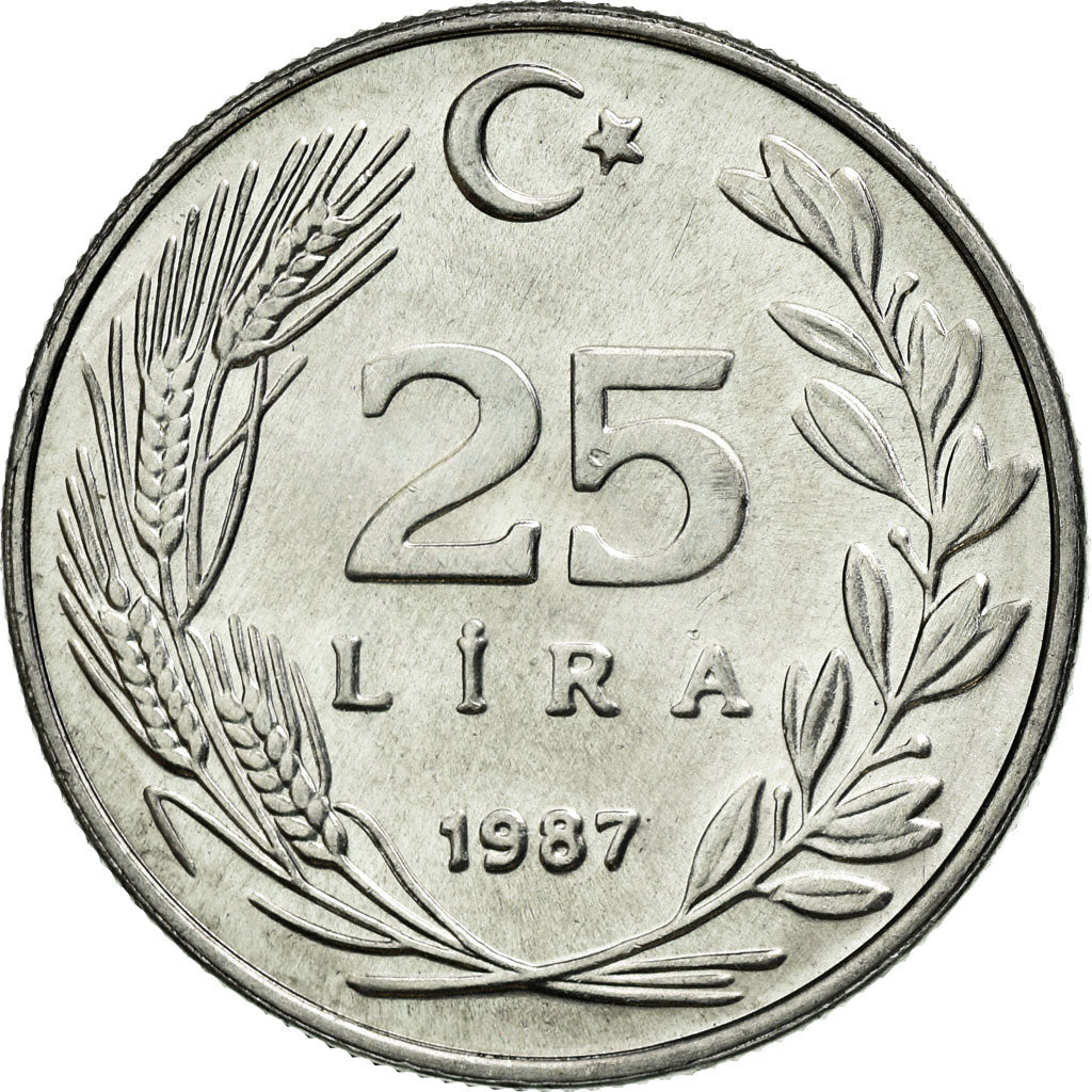 Coin, Turkey, 25 Lira, 1987, MS(60-62), Aluminum, KM:975