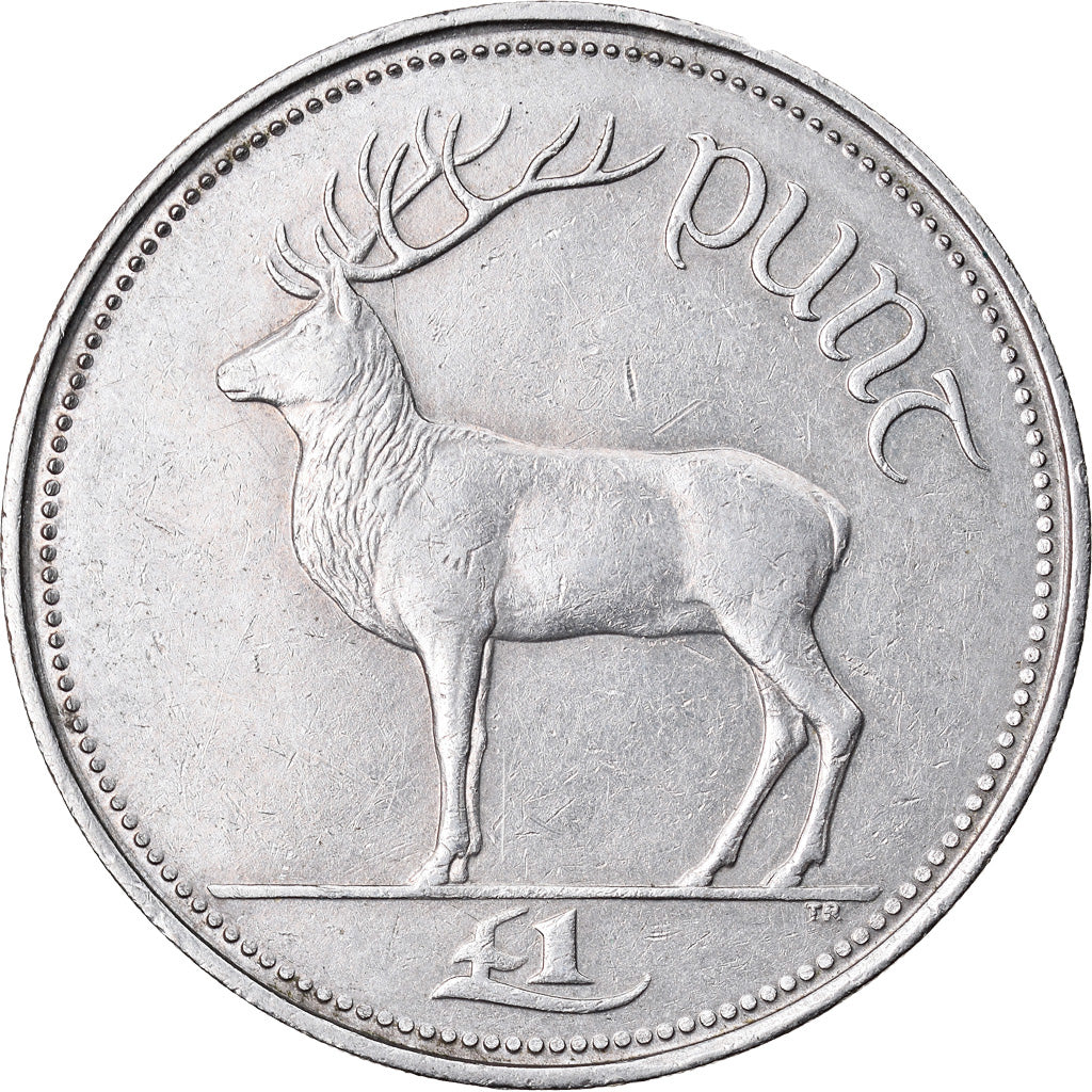 Coin, IRELAND REPUBLIC, Punt, Pound, 1990, VF(30-35), Copper-nickel, KM:27