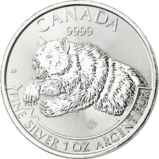 Coin, Canada, Grizzly, 5 Dollars, 2019, Royal Canadian Mint, Proof, MS(65-70)