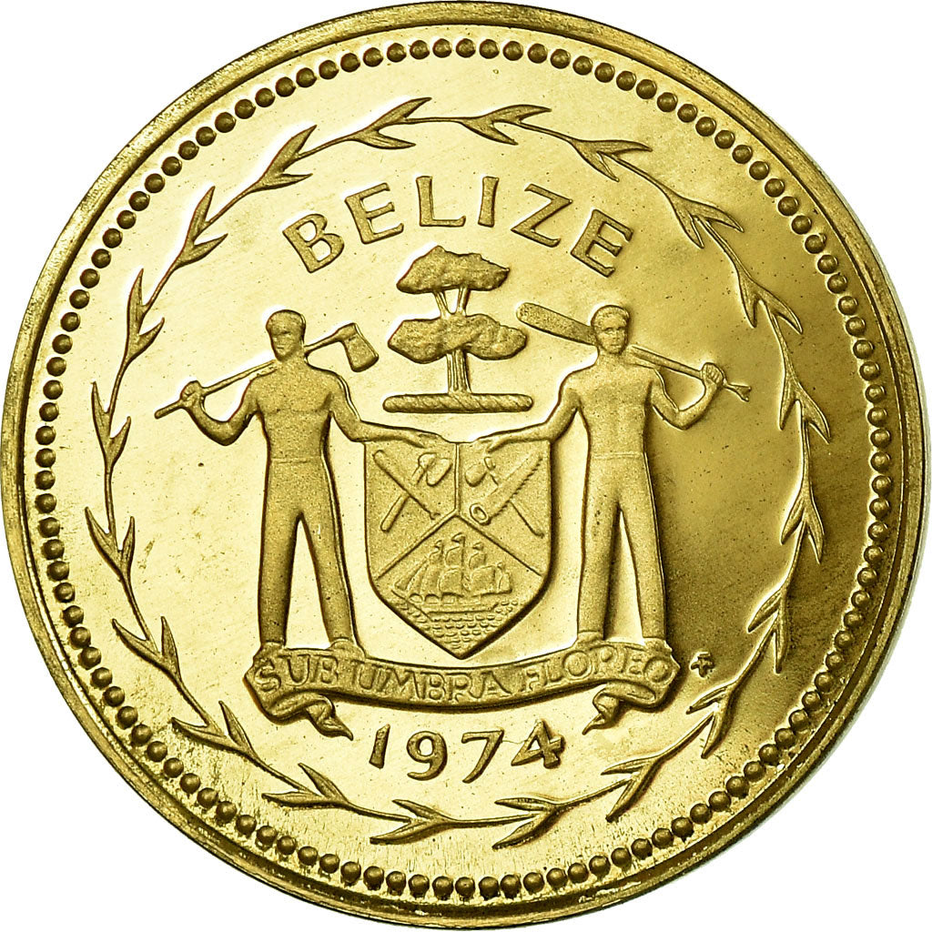 Coin, Belize, 5 Cents, 1974, Franklin Mint, Proof, MS(65-70), Nickel-brass