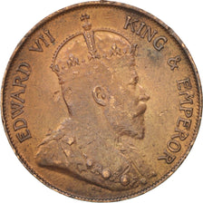 Hong Kong, Edward VII, Cent, 1904, EF(40-45), Bronze, KM:11