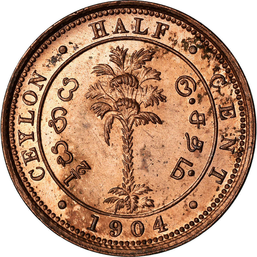 Moneta, Cejlon, Edward VII, 1/2 Cent, 1904, EF(40-45), Miedź, KM:101