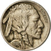 Coin, United States, Buffalo Nickel, 5 Cents, 1916, U.S. Mint, Philadelphia