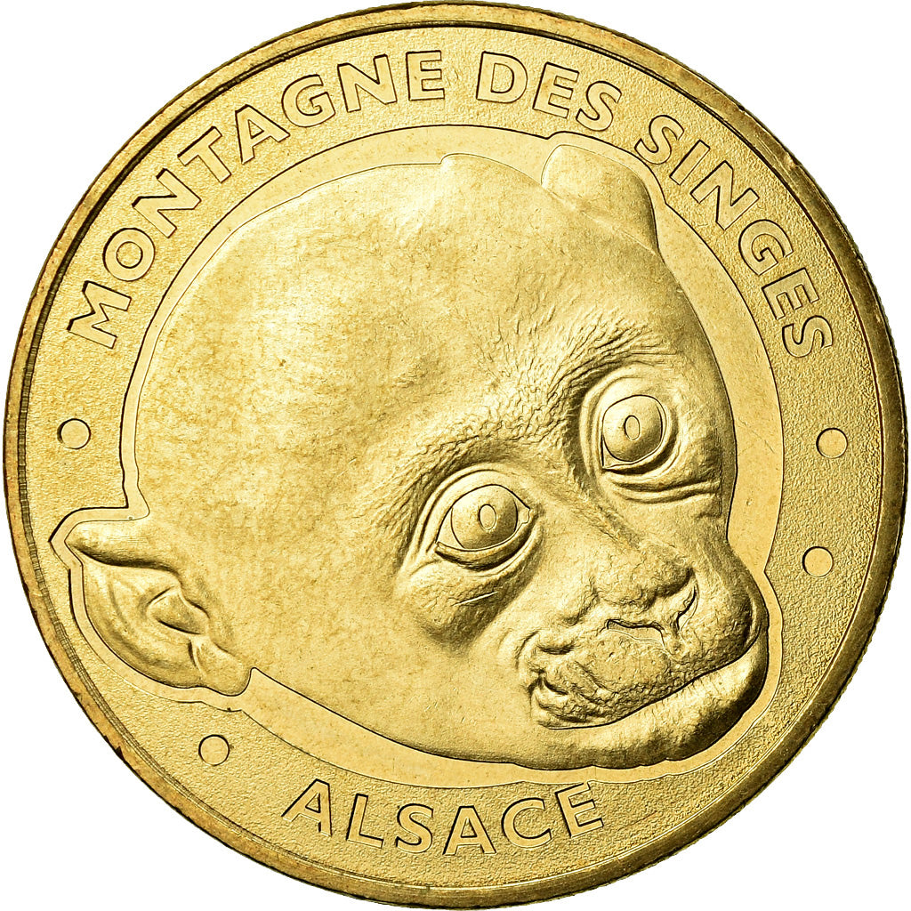 France, Jeton, Jeton Touristique, Kintzheim -  Montagne des Singes n°8, Arts &