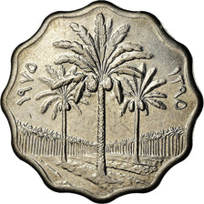 Moneta, Iraq, 5 Fils, 1975/AH1395, BB, Acciaio inossidabile, KM:125a