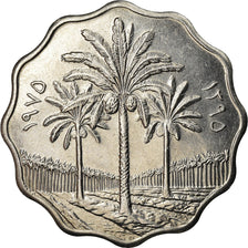 Moneta, Irak, 10 Fils, 1975/AH1395, AU(55-58), Stal nierdzewna, KM:142