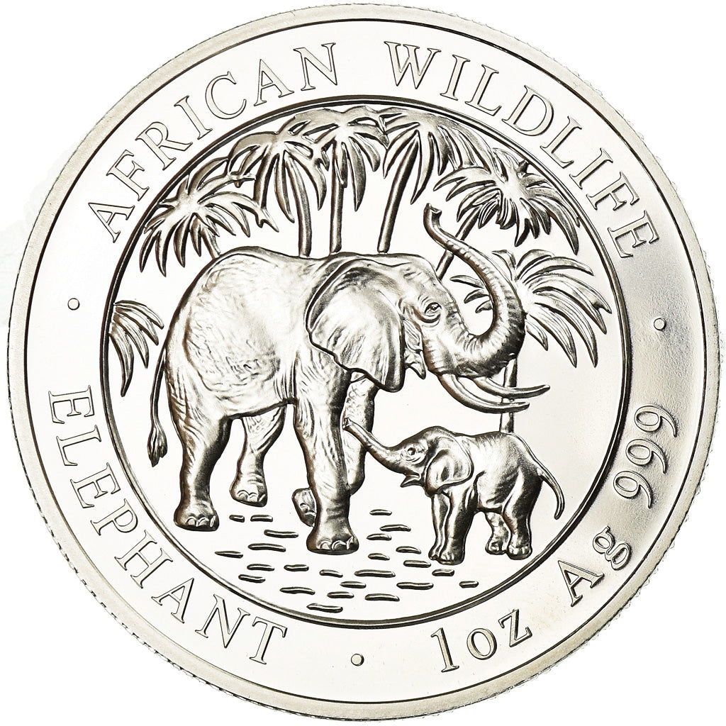 Coin, Somalia, Elephant, 100 Shillings, 2007, Proof, MS(65-70), Silver, KM:182