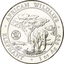 Moneta, Somalia, Elephant, 100 Shillings, 2012, Proof, FDC, Argento
