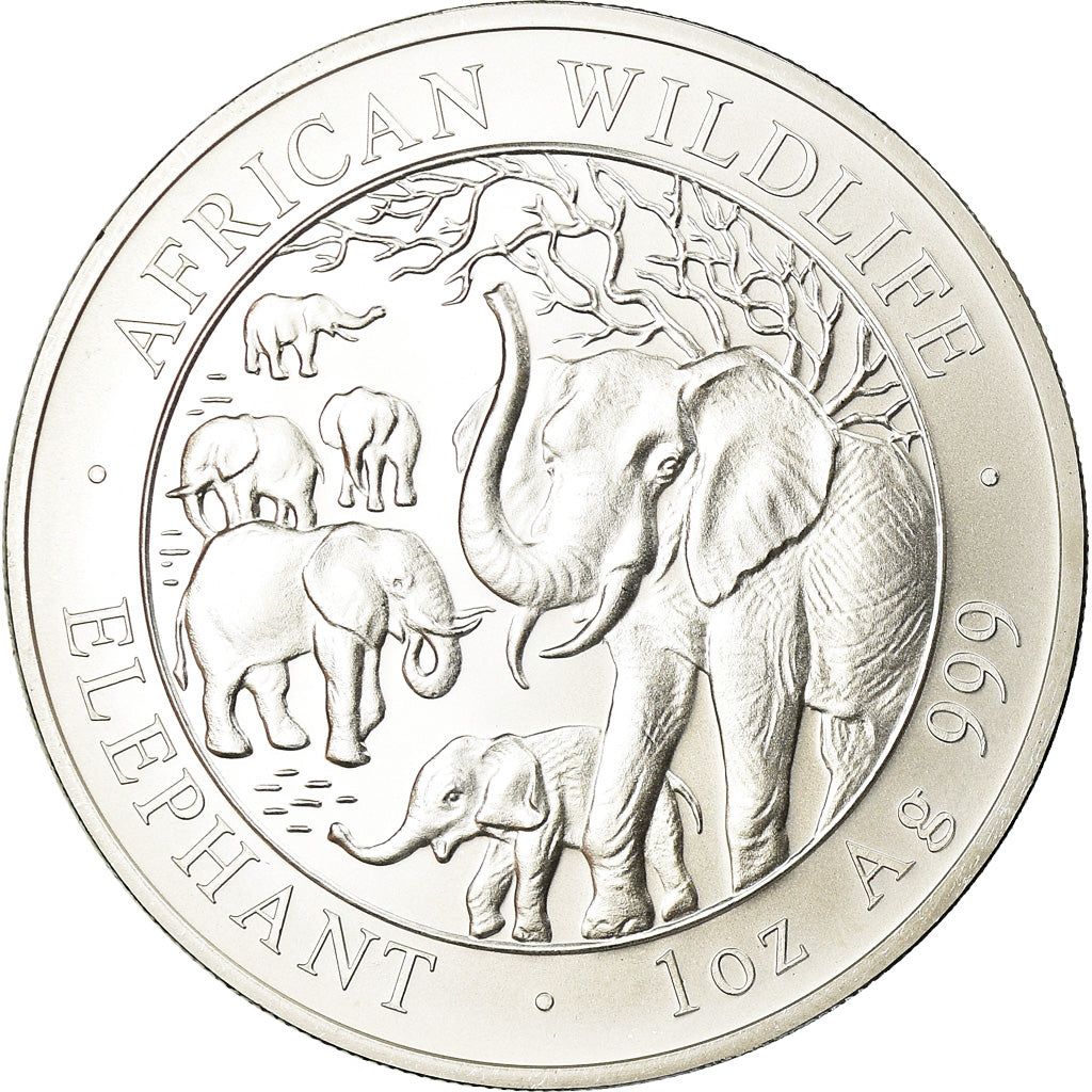 Coin, Somalia, 100 Shillings, 2008, MS(65-70), Silver, KM:203