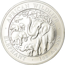 Coin, Somalia, 100 Shillings, 2008, MS(65-70), Silver, KM:203