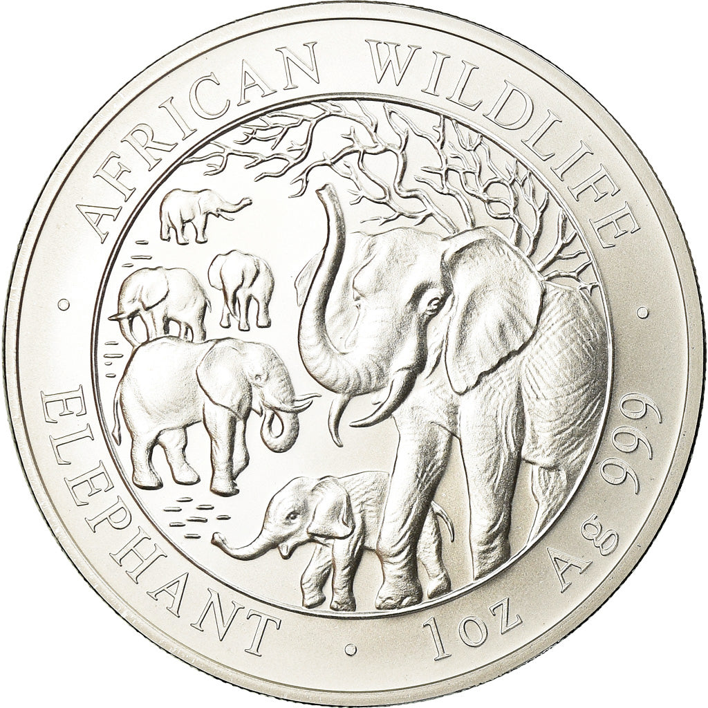 Coin, Somalia, Elephant, 100 Shillings, 2008, MS(65-70), Silver, KM:203