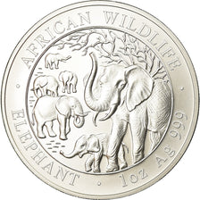 Coin, Somalia, Elephant, 100 Shillings, 2008, MS(65-70), Silver, KM:203