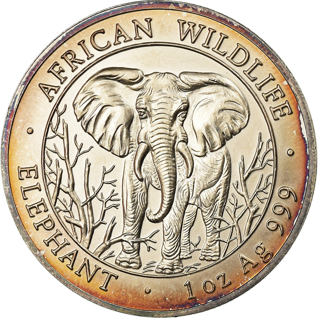 Coin, Somalia, Elephant, 1000 Shillings, 2004, AU(55-58), Silver, KM:183