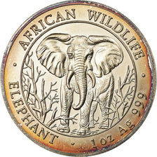Coin, Somalia, Elephant, 1000 Shillings, 2004, AU(55-58), Silver, KM:183