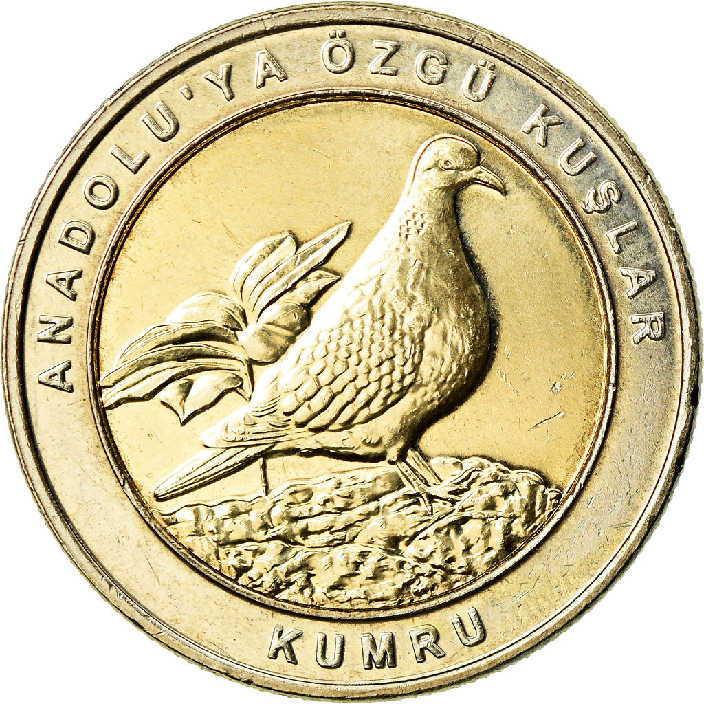 Moneta, Turchia, Tourterelle, Kurus, 2019, SPL, Bi-metallico