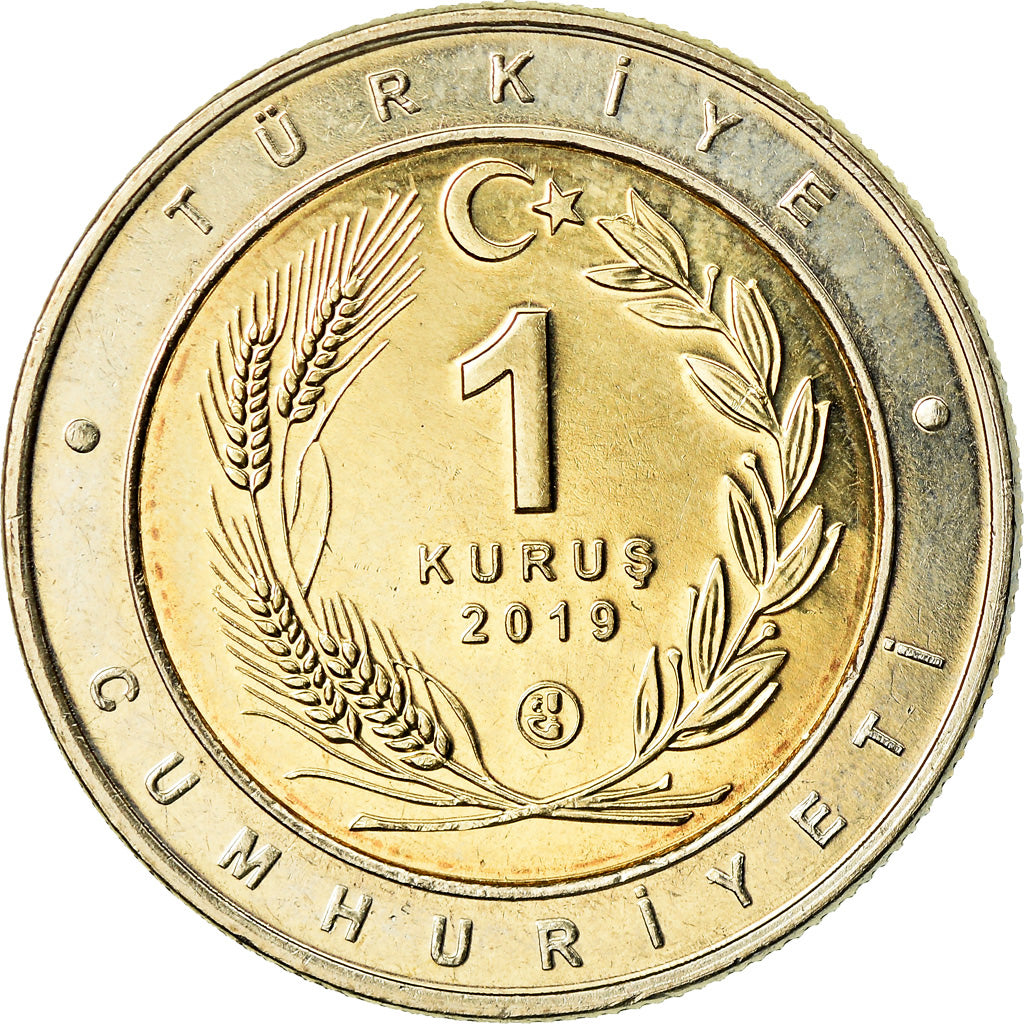 Coin, Turkey, Œdicnème criard, Kurus, 2019, MS(63), Bi-Metallic