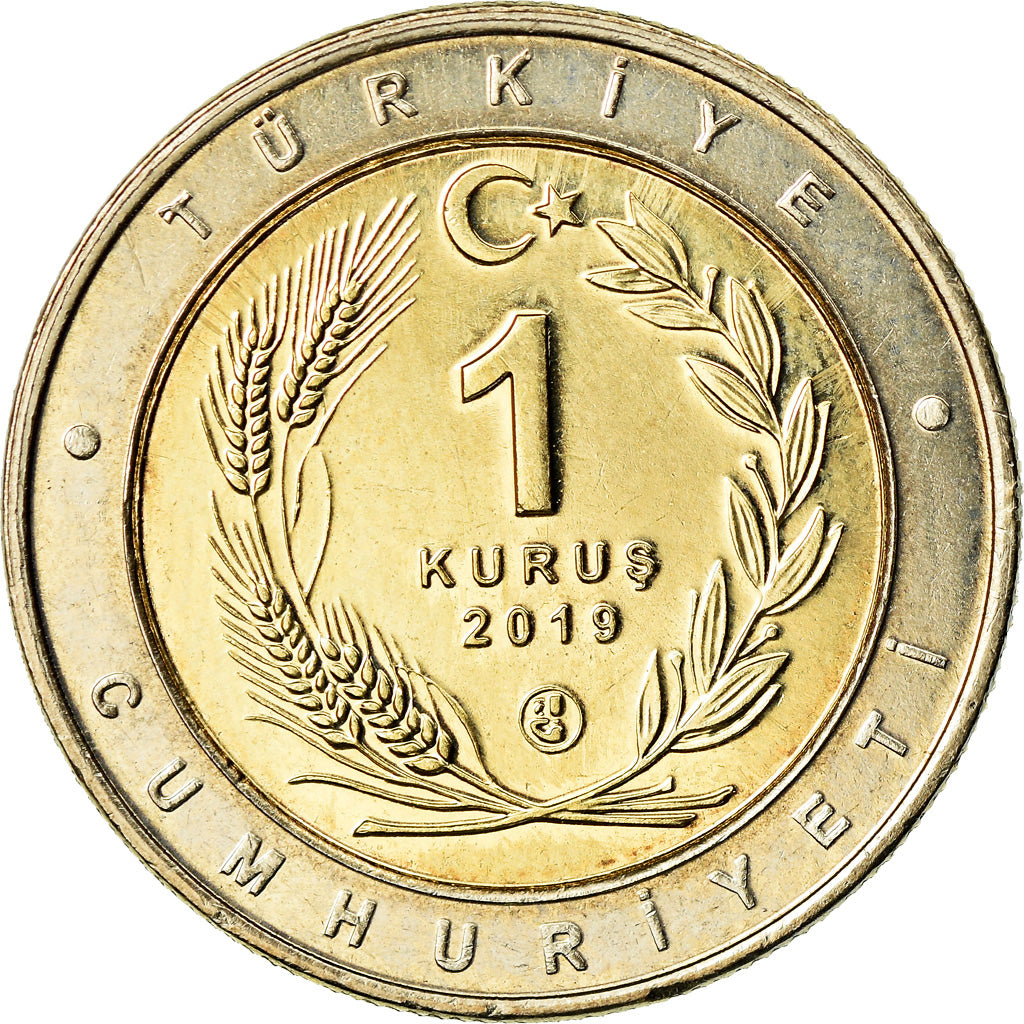 Moneta, Turcja, Anhinga roux, Kurus, 2019, MS(63), Bimetaliczny