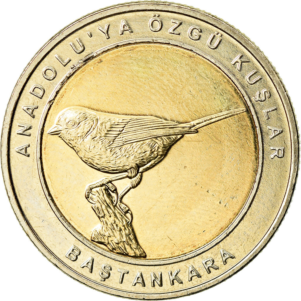 Moneta, Turcja, Mésange, Kurus, 2019, MS(63), Bimetaliczny