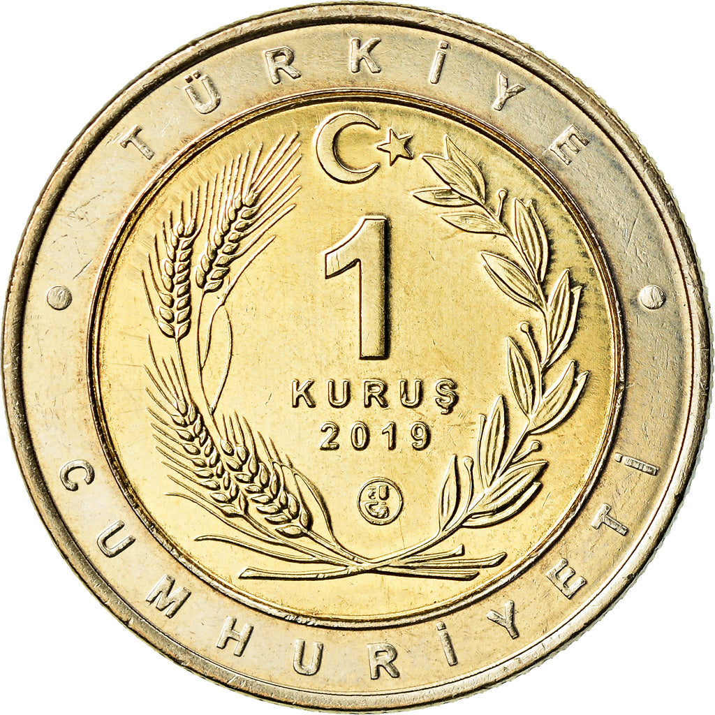 Moneta, Turchia, Échasse blanche, Kurus, 2019, SPL, Bi-metallico