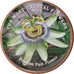 Moneta, Somaliland, Shilling, 2019, Fleurs - Passiflore, SPL, Acciaio
