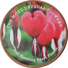 Monnaie, Somaliland, Shilling, 2019, Fleurs - Coeur de Marie, SPL, Stainless