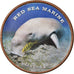 Coin, Somaliland, Shilling, 2018, Vie sous-marine - Dugong, MS(63), Stainless