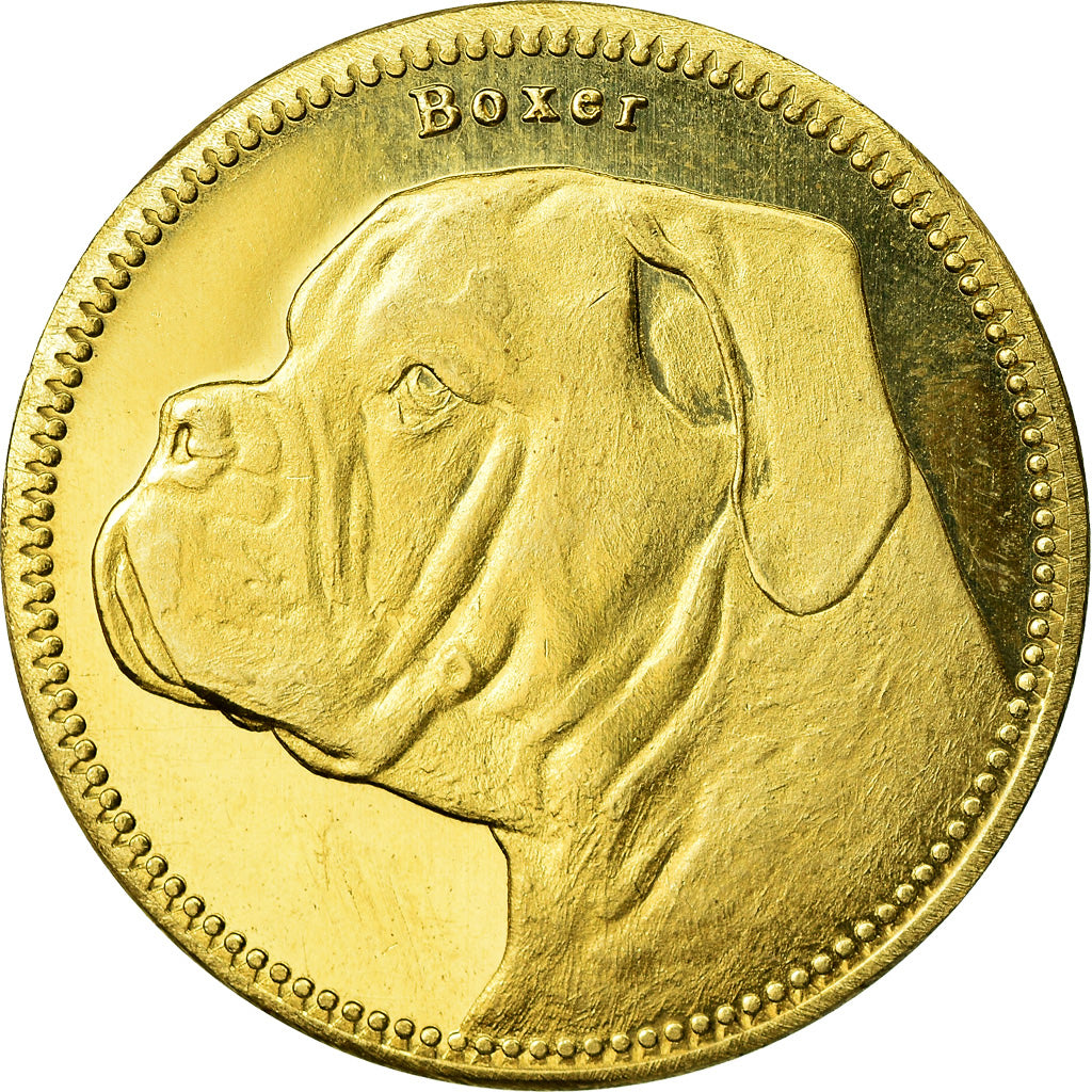 Moneta, Somaliland, 5 Shillings, 2019, Chiens - Boxer, SPL, Ottone