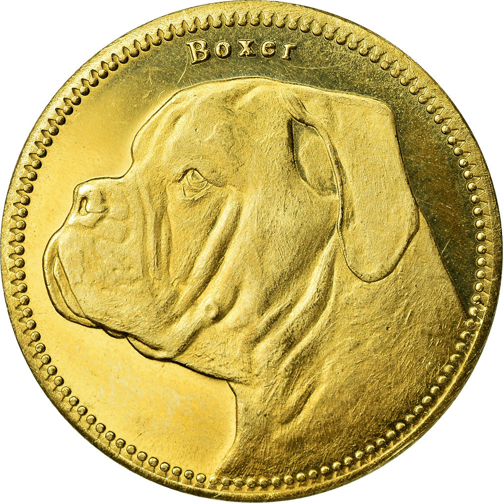 Coin, Somaliland, 5 Shillings, 2019, Chiens - Boxer, MS(63), Brass