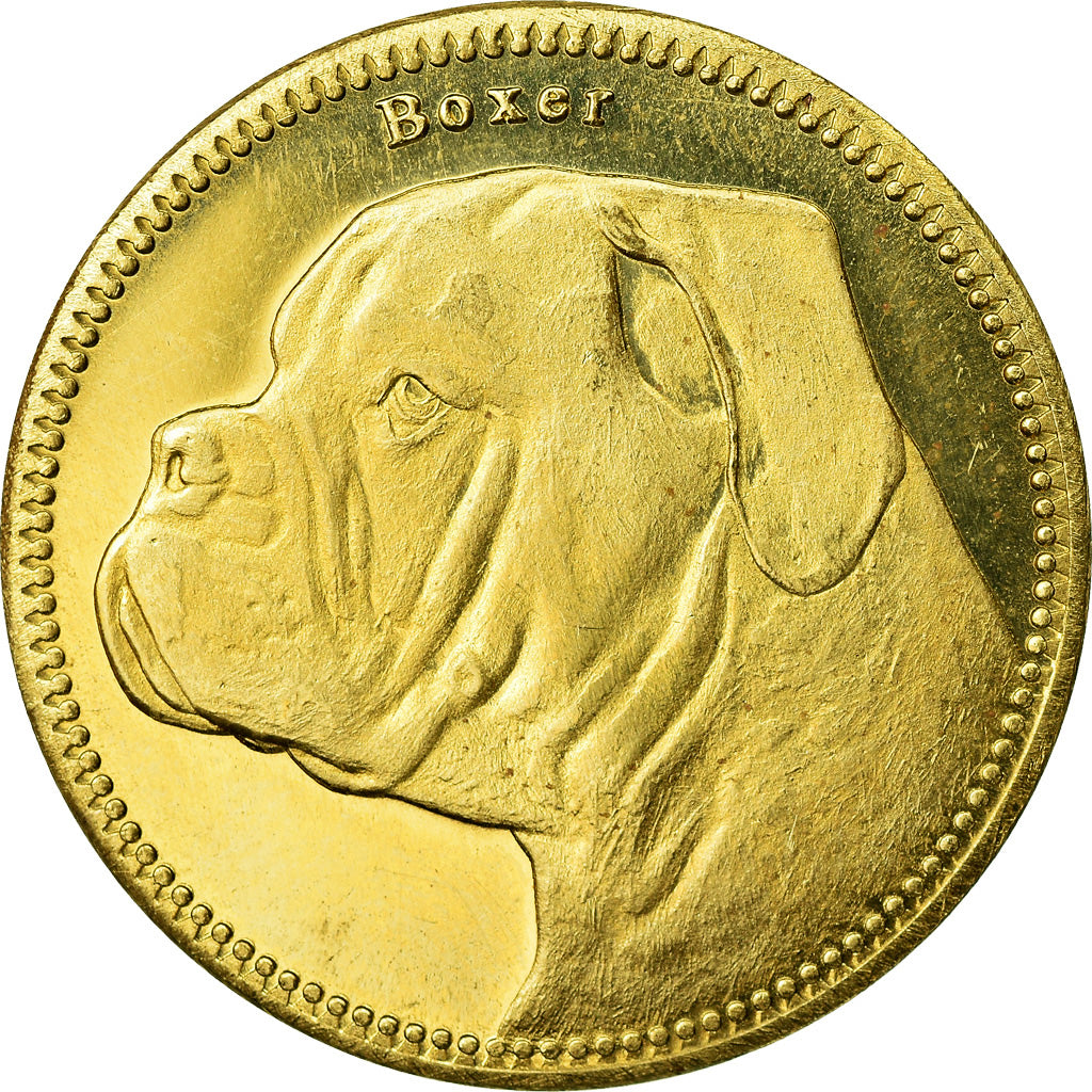 Moneda, Somalilandia, 5 Shillings, 2019, Chiens - Boxer, SC, Latón