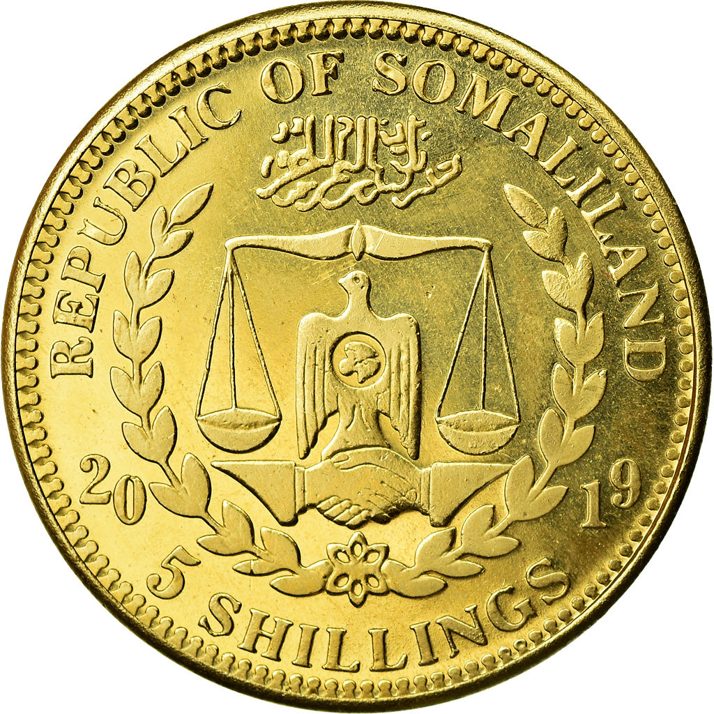 Moneda, Somalilandia, 5 Shillings, 2019, Chiens - Boxer, SC, Latón