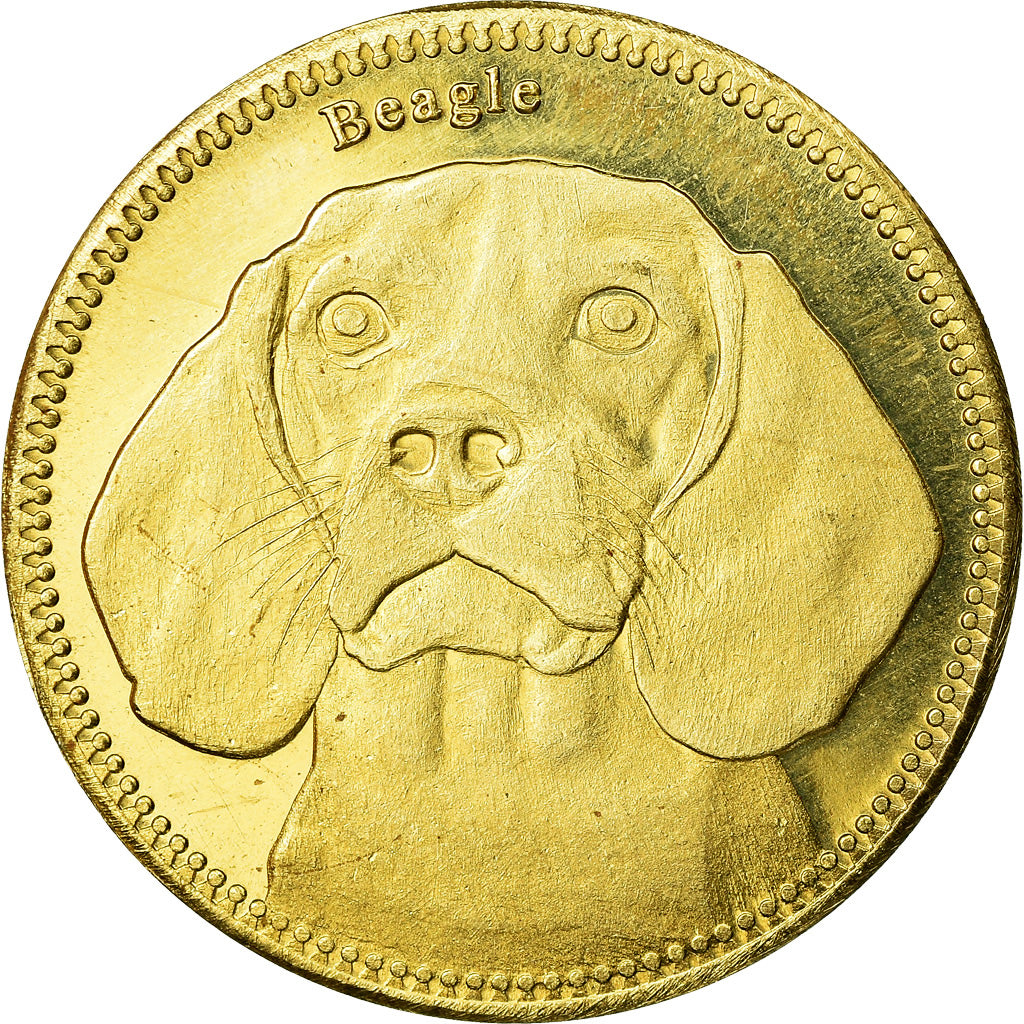 Moneta, Somaliland, 5 Shillings, 2019, Chiens - Beagle, SPL, Ottone