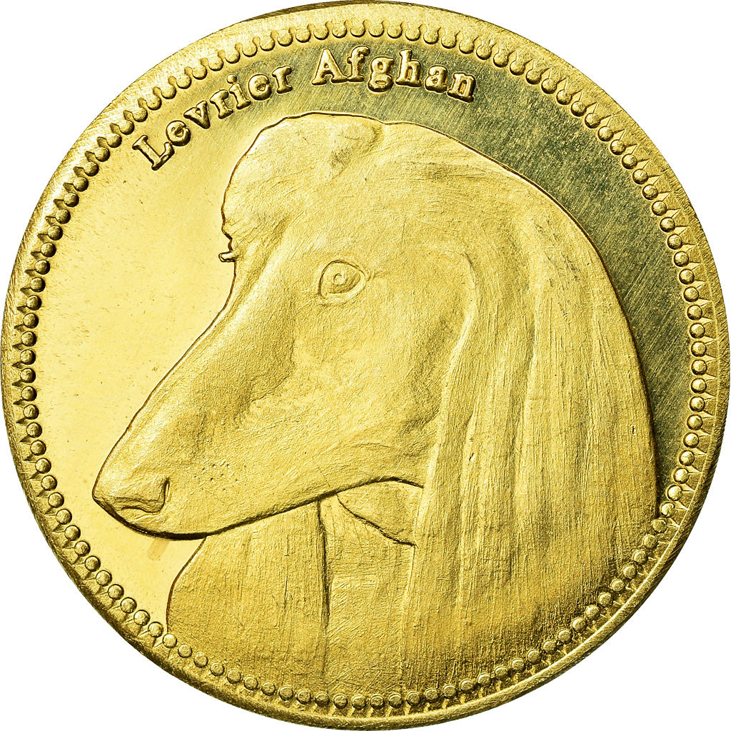 Coin, Somaliland, 5 Shillings, 2019, Chiens - Lévrier afghan, MS(63), Brass