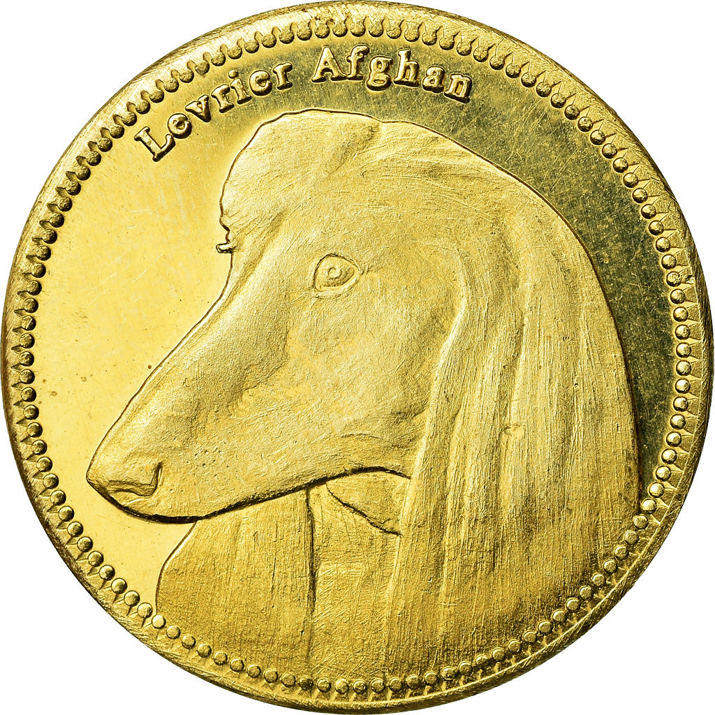 Coin, Somaliland, 5 Shillings, 2019, Chiens - Lévrier afghan, MS(63), Brass